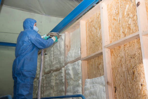 Best Insulation Contractors for Homes  in Bridgeport, WV